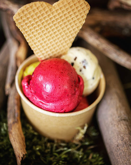 Sorbet